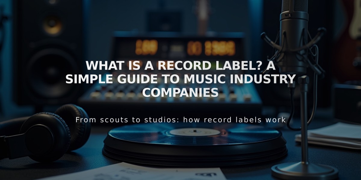 What Is a Record Label? A Simple Guide to Music Industry Companies