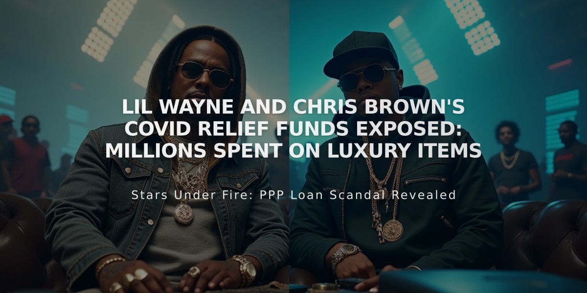 Lil Wayne and Chris Brown's COVID Relief Funds Exposed: Millions Spent on Luxury Items