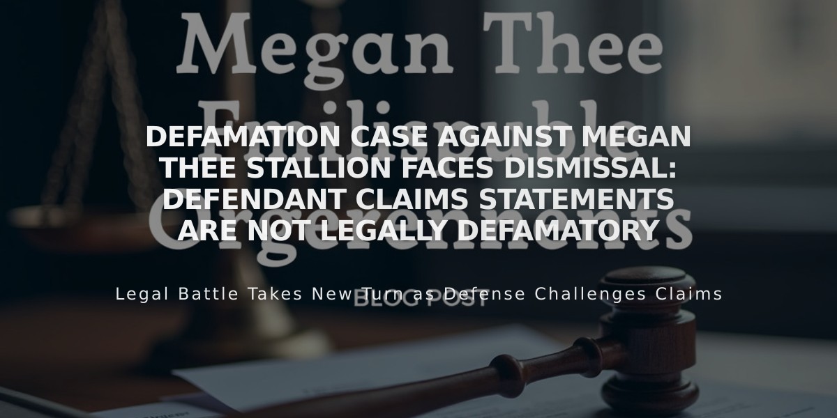 Defamation Case Against Megan Thee Stallion Faces Dismissal: Defendant Claims Statements Are Not Legally Defamatory